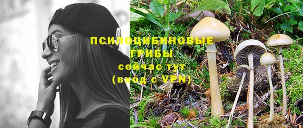 бошки Верхний Тагил
