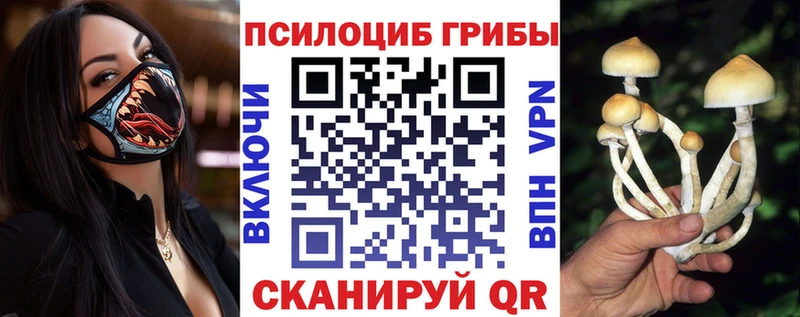 Купить где  Тайшет  Галлюциногенные грибы ЛСД 